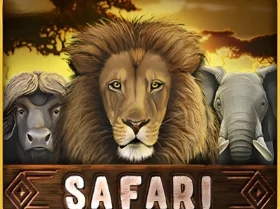 Safari