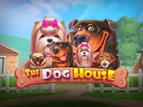 The Dog House