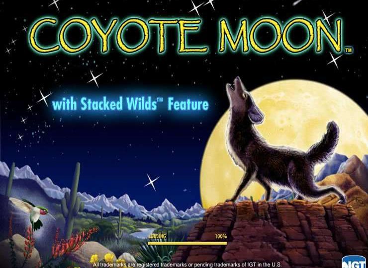 Coyote Moon