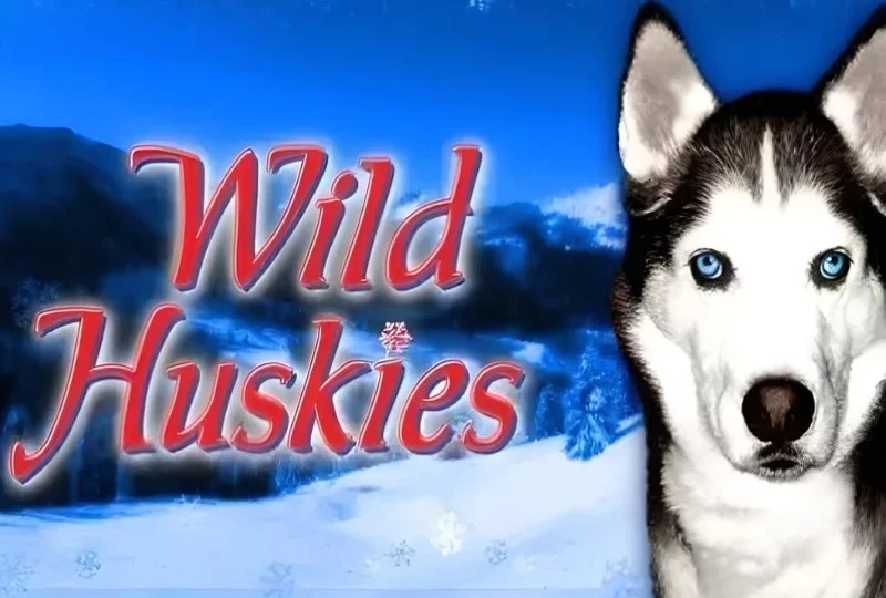 Wild Huskies Free