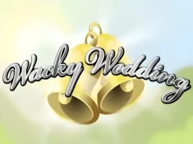 Wacky Wedding